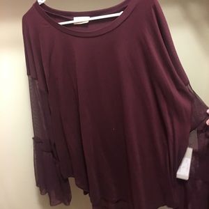 Lizard Thicket Long sleeve (sheer) top